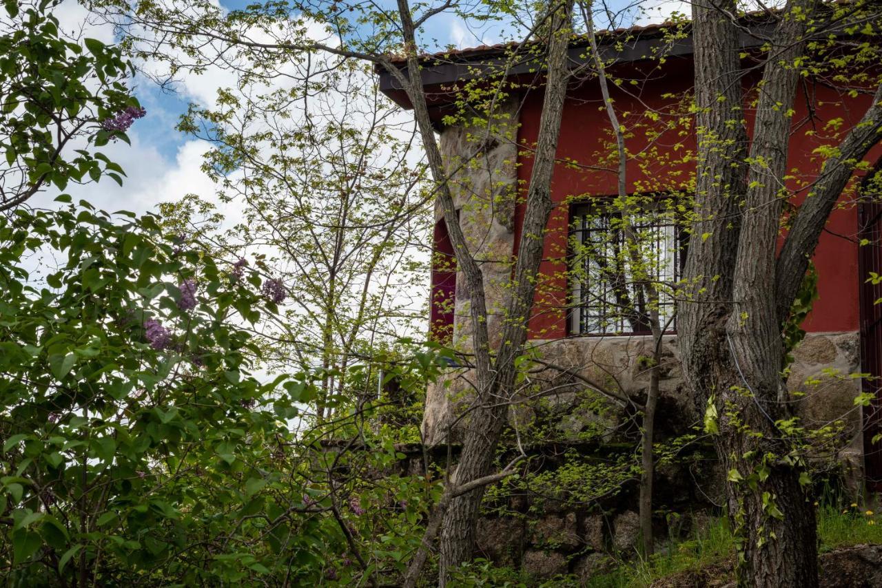Casita En La Sierra Villa Zarzalejo Eksteriør bilde